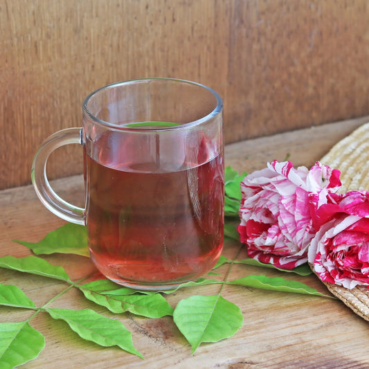 Guillemette - Infusion pomme hibiscus - 50g Les Mirliflores